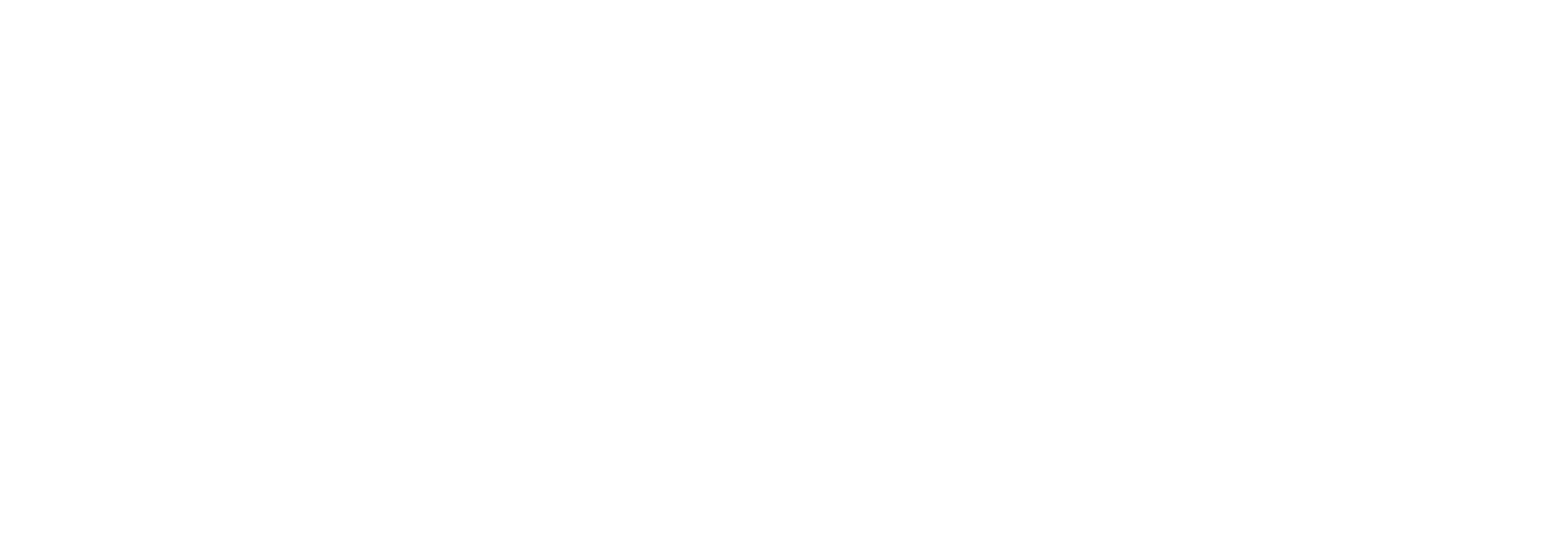 Logo Raissa Zoccal Horizontal Color